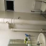 IMG_3728