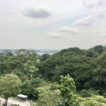 img_0135