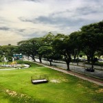 img_0479