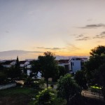 2250c961-f59d-4ef6-953b-131d730bc4ab